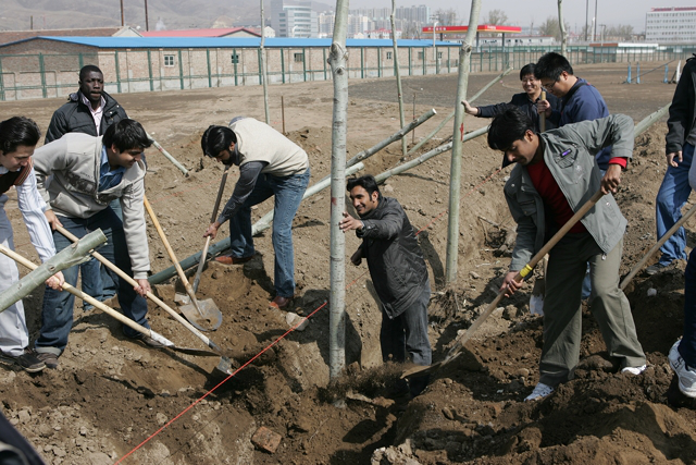 Hebei North University Students Participate in The New Campus Tree Planting Activities