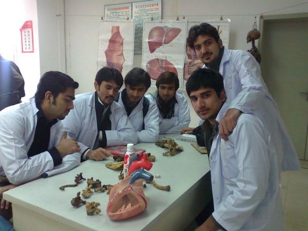 The First, Second and Third Year at Medical School